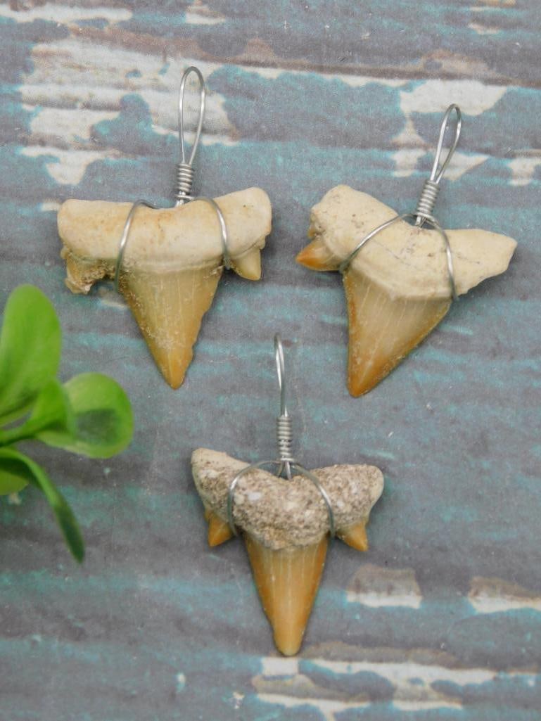 SHARK TEETH PENDANTS ROCK STONE LAPIDARY SPECIMEN: SHARK TEETH PENDANTS ROCK STONE LAPIDARY SPECIMEN - Part of our Discover Golden Attic, Crystals and Gems auction at HATMAN'S Auctions! Please see photos for measurements and condition. YES, we have
