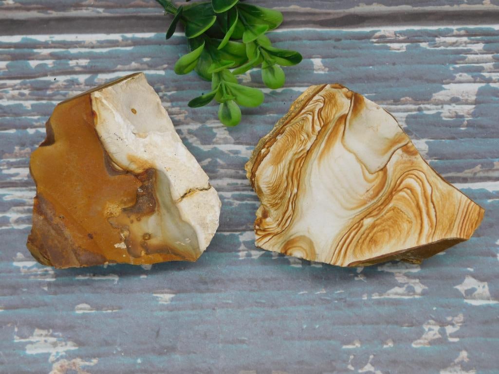 JASPER ROCK STONE LAPIDARY SPECIMEN: JASPER ROCK STONE LAPIDARY SPECIMEN - Part of our Discover Golden Attic, Crystals and Gems auction at HATMAN'S Auctions! Please see photos for measurements and condition. YES, we have in-house