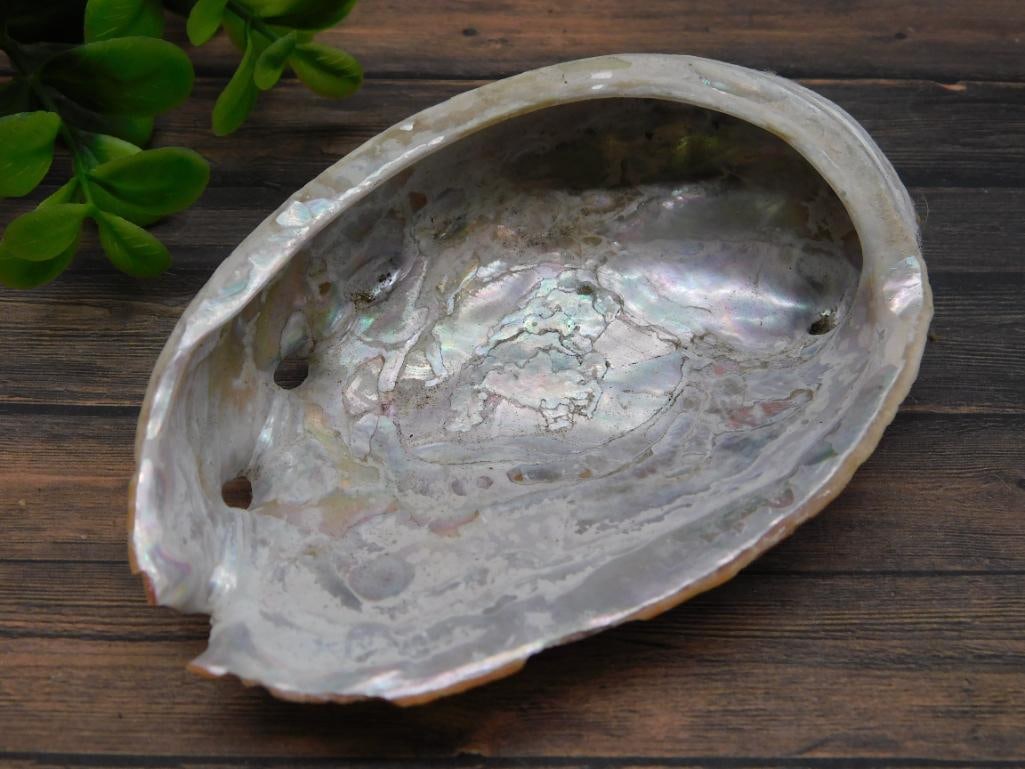 ABALONE BUTTERFLY NECKLACE ROCK STONE LAPIDARY SPECIMEN: ABALONE BUTTERFLY NECKLACE ROCK STONE LAPIDARY SPECIMEN - Part of our Discover Golden Attic, Crystals and Gems auction at HATMAN'S Auctions! Please see photos for measurements and condition. YES, we