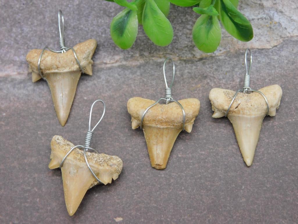 SHARK TEETH PENDANTS ROCK STONE LAPIDARY SPECIMEN: SHARK TEETH PENDANTS ROCK STONE LAPIDARY SPECIMEN - Part of our Discover Golden Attic, Crystals and Gems auction at HATMAN'S Auctions! Please see photos for measurements and condition. YES, we have in
