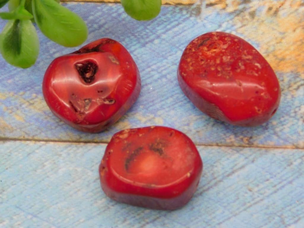 RED CORAL ROCK STONE LAPIDARY SPECIMEN: RED CORAL ROCK STONE LAPIDARY SPECIMEN - Part of our Discover Golden Attic, Crystals and Gems auction at HATMAN'S Auctions! Please see photos for measurements and condition. YES, we have in-house