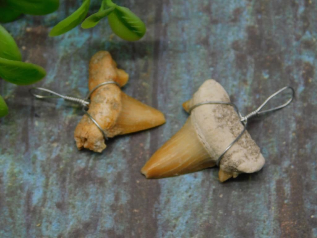 SHARK TOOTH PENDANTS ROCK STONE LAPIDARY SPECIMEN: SHARK TOOTH PENDANTS ROCK STONE LAPIDARY SPECIMEN - Part of our Discover Golden Attic, Crystals and Gems auction at HATMAN'S Auctions! Please see photos for measurements and condition. YES, we have