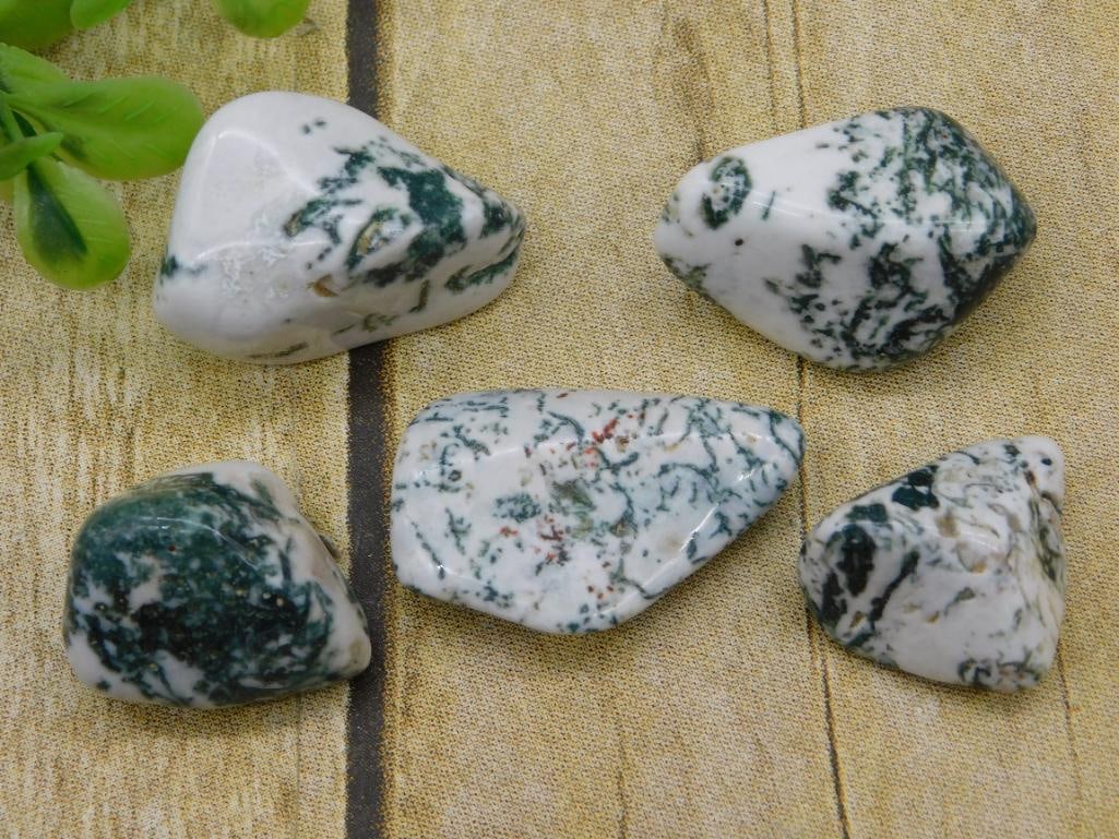 TREE AGATE ROCK STONE LAPIDARY SPECIMEN: TREE AGATE ROCK STONE LAPIDARY SPECIMEN - Part of our Discover Golden Attic, Crystals and Gems auction at HATMAN'S Auctions! Please see photos for measurements and condition. YES, we have in-house shi