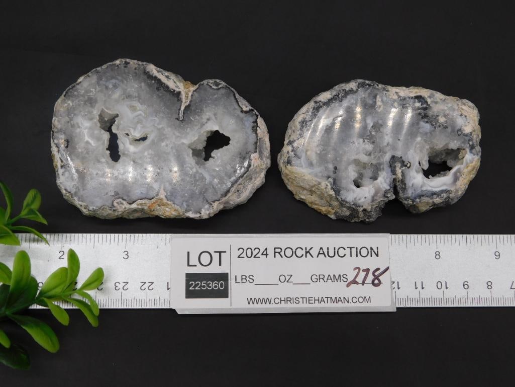 AGATE SLICES ROCK STONE LAPIDARY SPECIMEN - 2