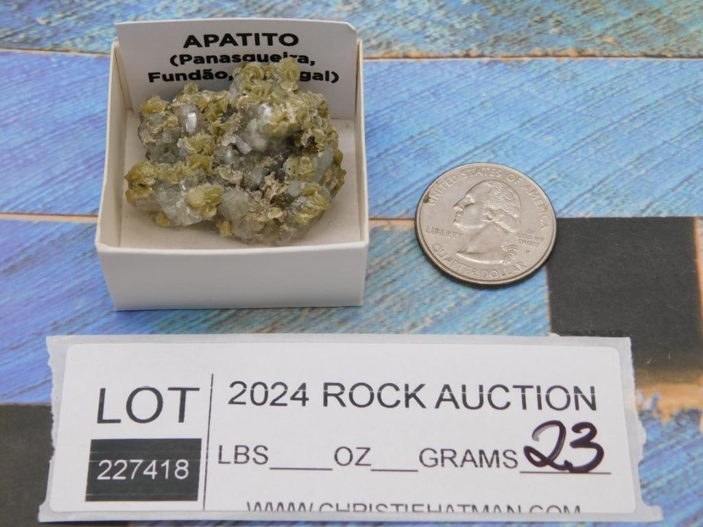 PANASQUIERA MINE PORTUGAL ROCK STONE LAPIDARY SPECIMEN: PANASQUIERA MINE PORTUGAL ROCK STONE LAPIDARY SPECIMEN - Part of our Discover Midnight Market, Crystals and Gems auction at HATMAN'S Auctions! Please see photos for measurements and condition. YES,