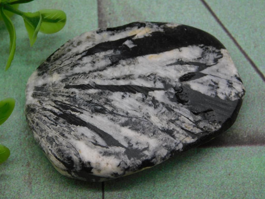 CHRYSANTHEMUM ROCK STONE LAPIDARY SPECIMEN (1 of 5)