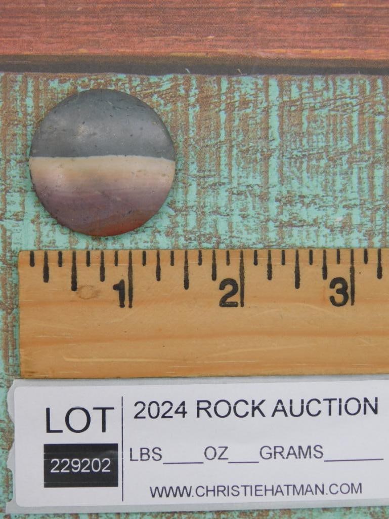 CABOCHON ROCK STONE LAPIDARY SPECIMEN - 2