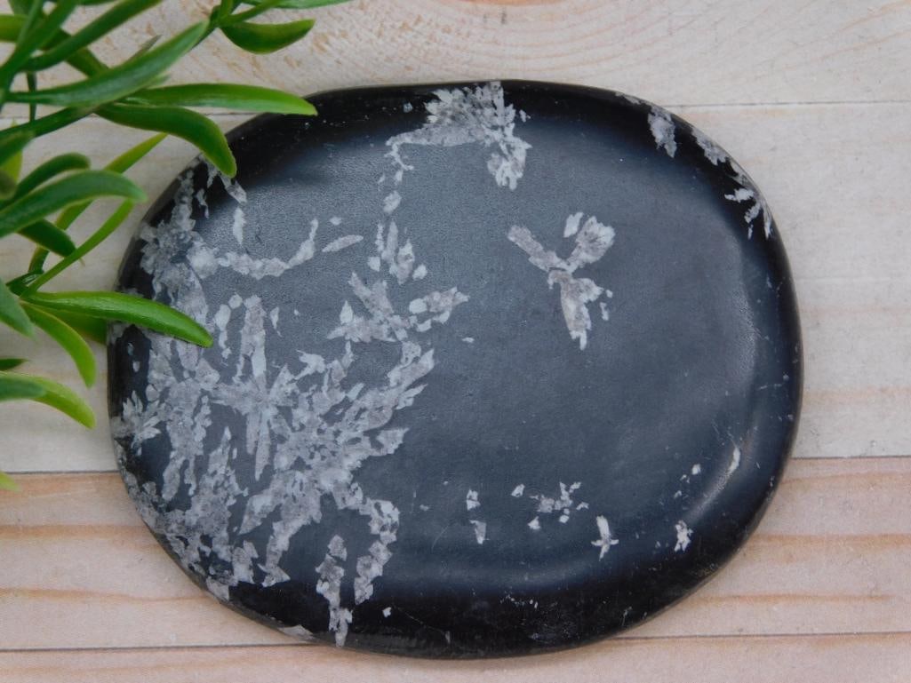 CHRYSANTHEMUM ROCK STONE LAPIDARY SPECIMEN: CHRYSANTHEMUM ROCK STONE LAPIDARY SPECIMEN - Part of our Discover Midnight Market, Crystals and Gems auction at HATMAN'S Auctions! Please see photos for measurements and condition. YES, we have