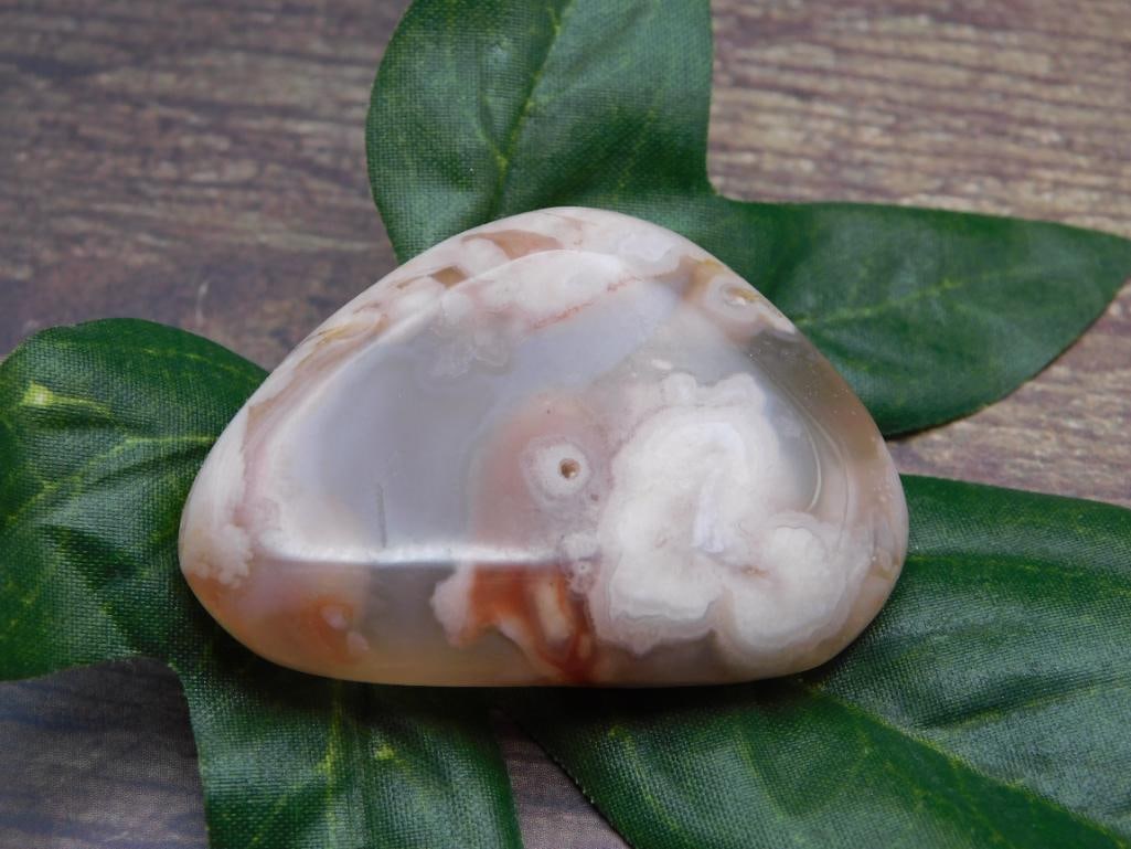 FLOWER PETAL AGATE ROCK STONE LAPIDARY SPECIMEN (1 of 2)