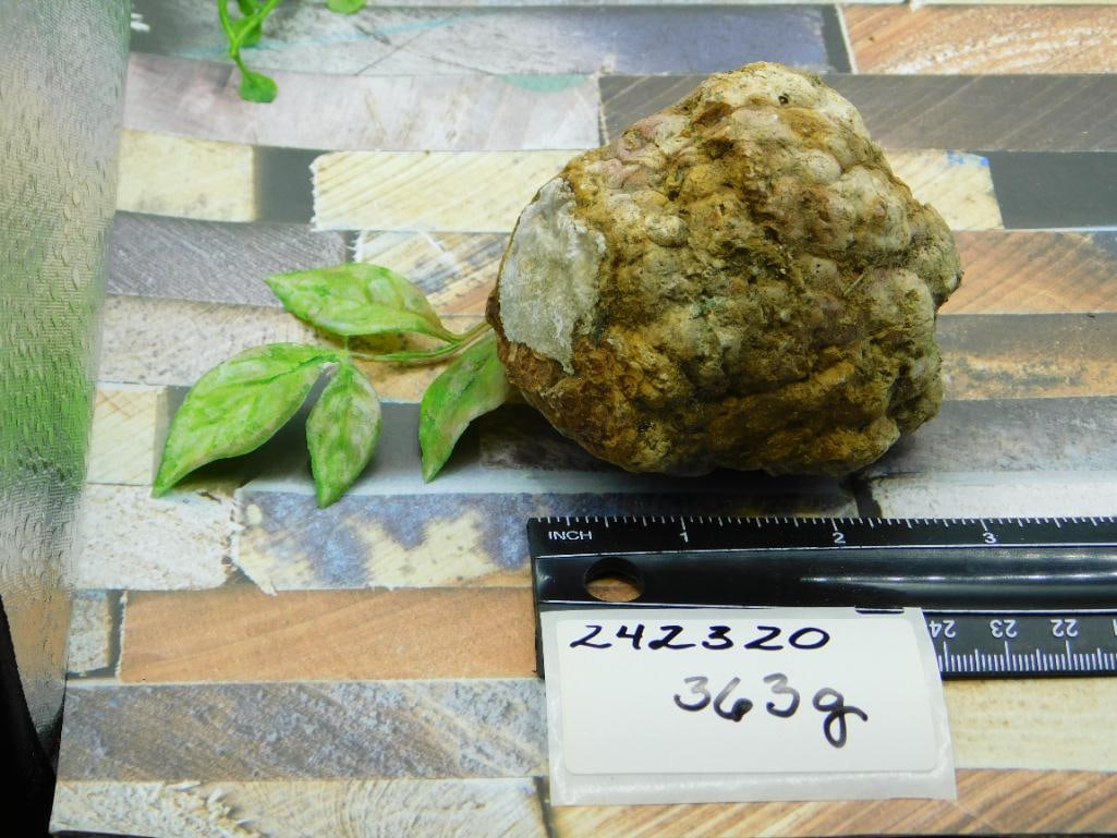 ROCK STONE LAPIDARY SPECIMEN - 2