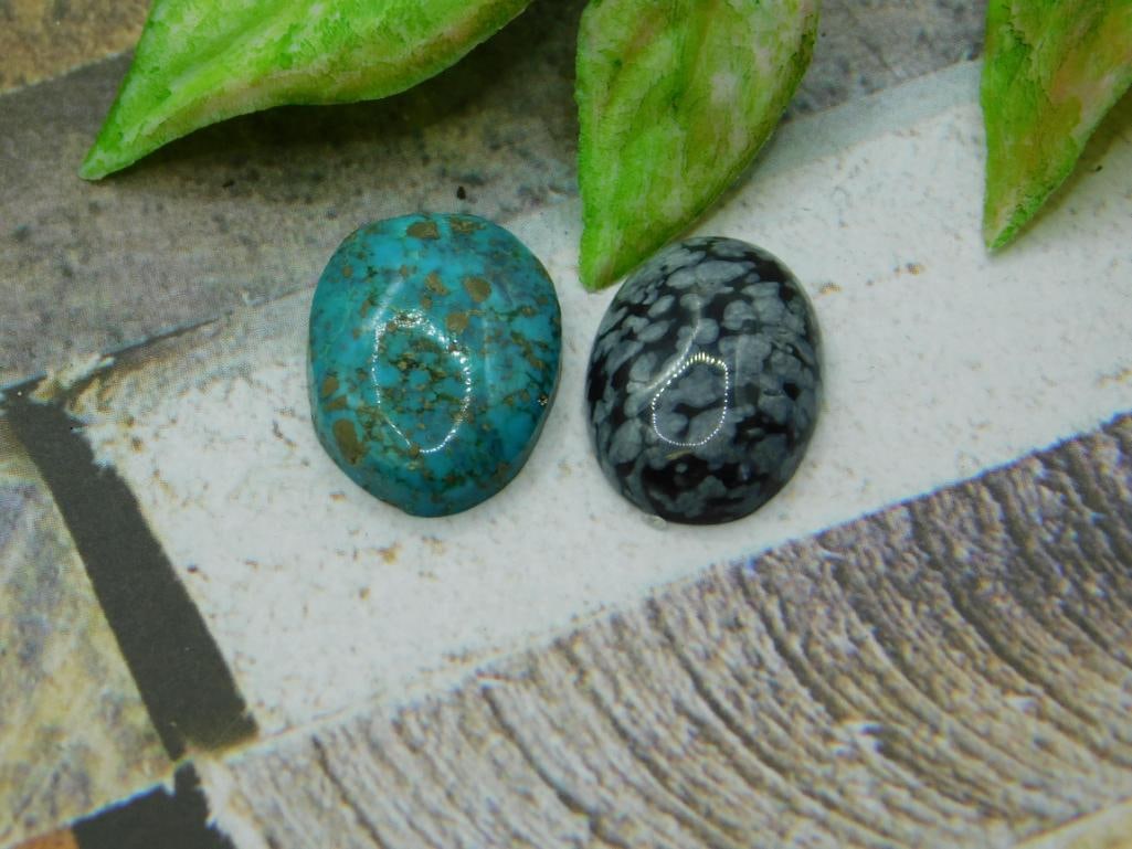 CABOCHONS ROCK STONE LAPIDARY SPECIMEN (1 of 2)