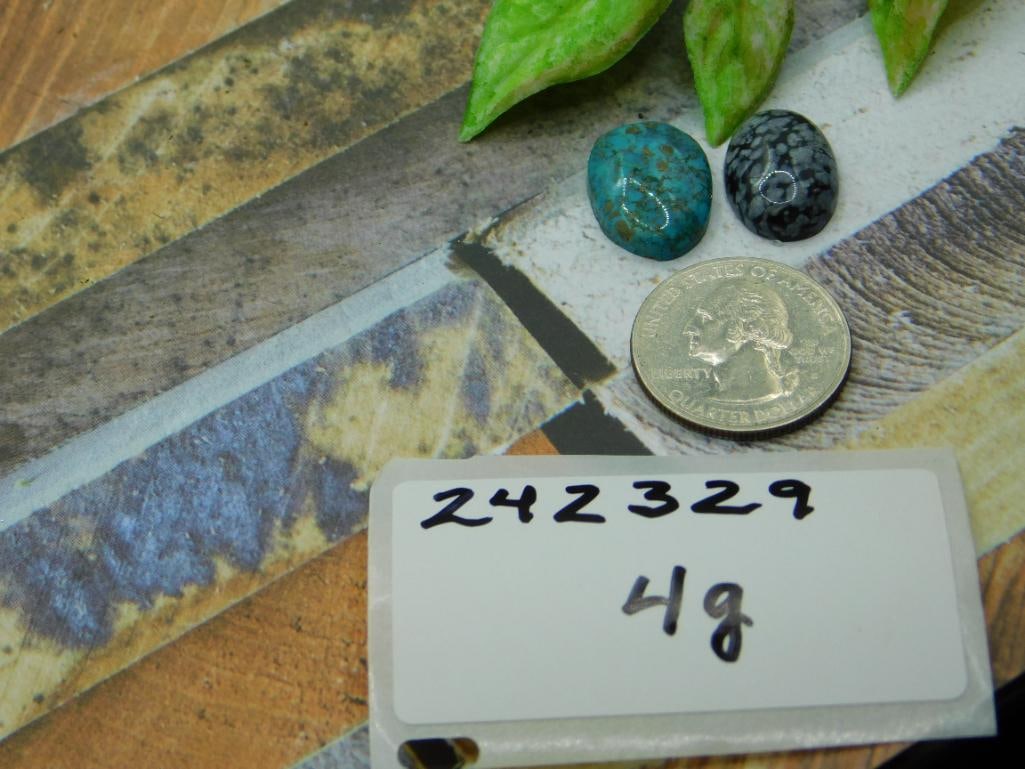 CABOCHONS ROCK STONE LAPIDARY SPECIMEN - 2