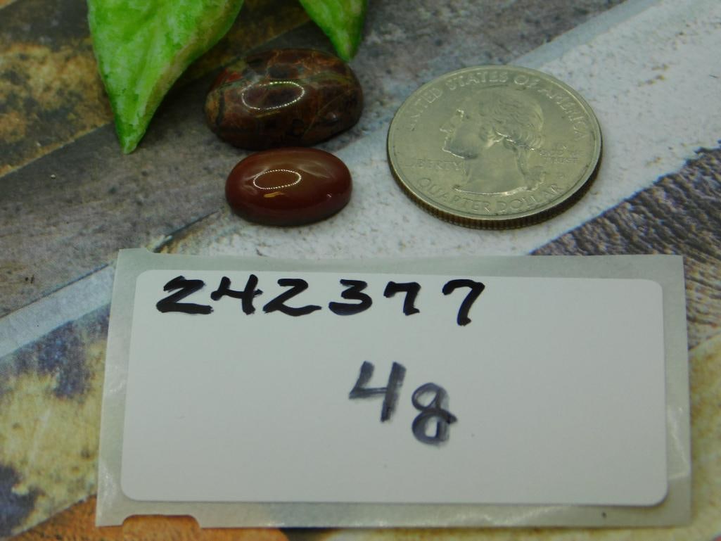 CABOCHONS ROCK STONE LAPIDARY SPECIMEN - 2