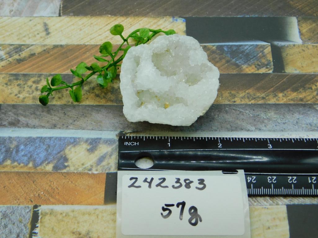 GEODE ROCK STONE LAPIDARY SPECIMEN - 2