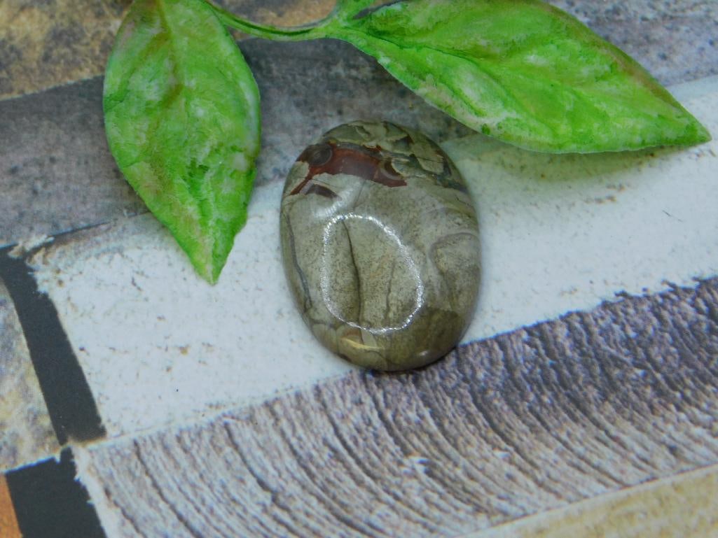 CABOCHONS ROCK STONE LAPIDARY SPECIMEN (1 of 2)