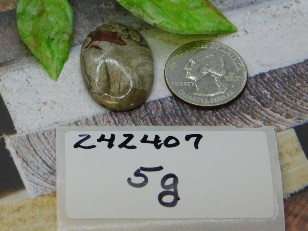 CABOCHONS ROCK STONE LAPIDARY SPECIMEN - 2