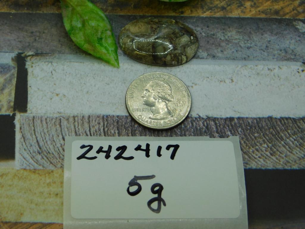 CABOCHON ROCK STONE LAPIDARY SPECIMEN - 2