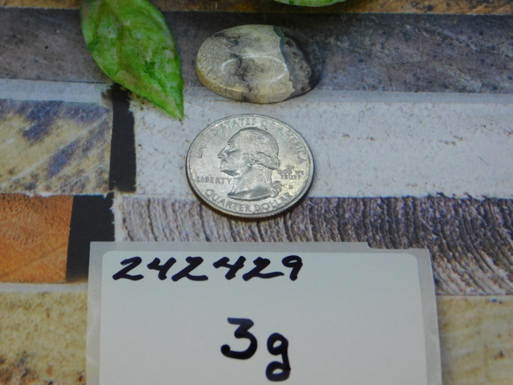CABOCHON ROCK STONE LAPIDARY SPECIMEN - 2