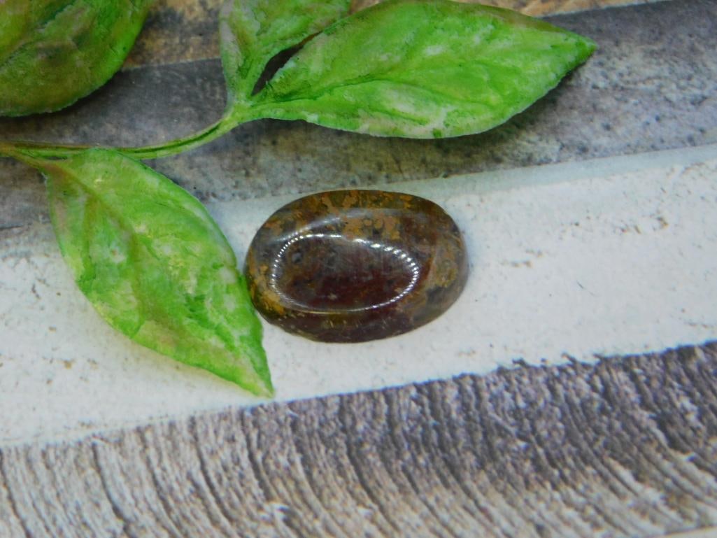 CABOCHON ROCK STONE LAPIDARY SPECIMEN: CABOCHON ROCK STONE LAPIDARY SPECIMEN