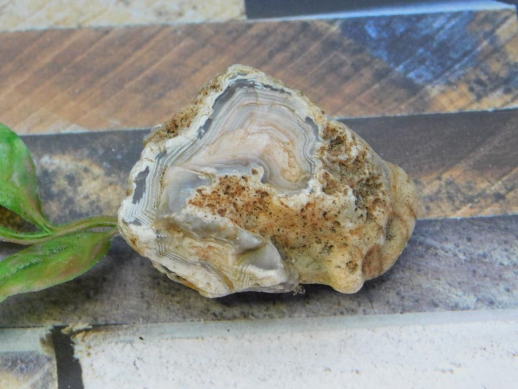 AGATE ROCK STONE LAPIDARY SPECIMEN: AGATE ROCK STONE LAPIDARY SPECIMEN