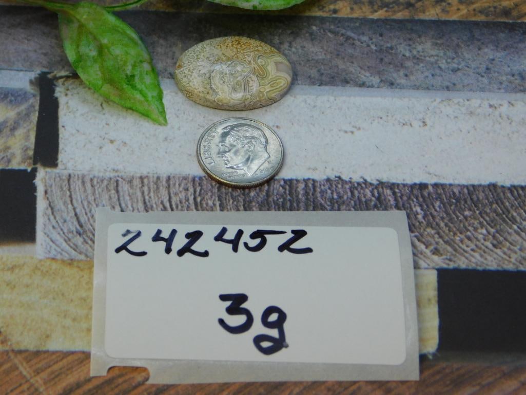 CABOCHON ROCK STONE LAPIDARY SPECIMEN: CABOCHON ROCK STONE LAPIDARY SPECIMEN
