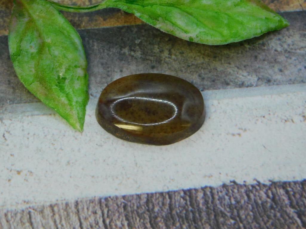 CABOCHON ROCK STONE LAPIDARY SPECIMEN (1 of 2)