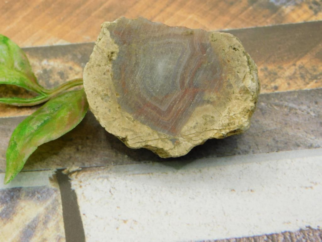 AGATE ROCK STONE LAPIDARY SPECIMEN (1 of 2)