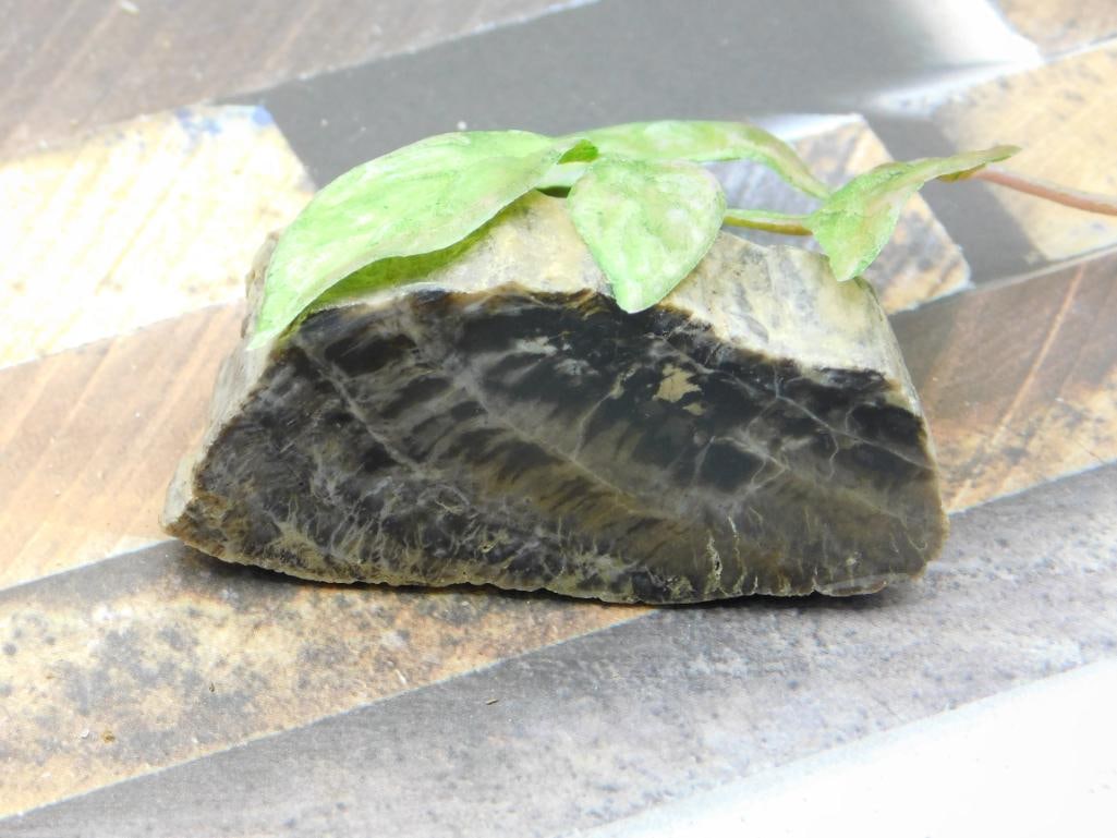 ROCK STONE LAPIDARY SPECIMEN: ROCK STONE LAPIDARY SPECIMEN