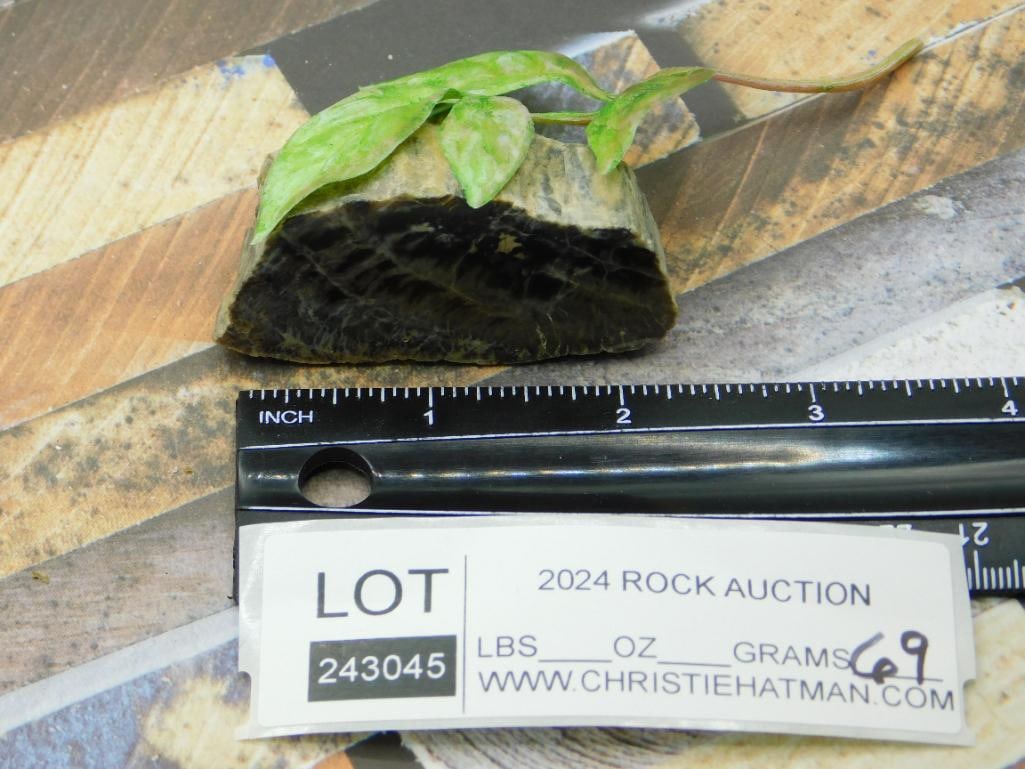 ROCK STONE LAPIDARY SPECIMEN - 2