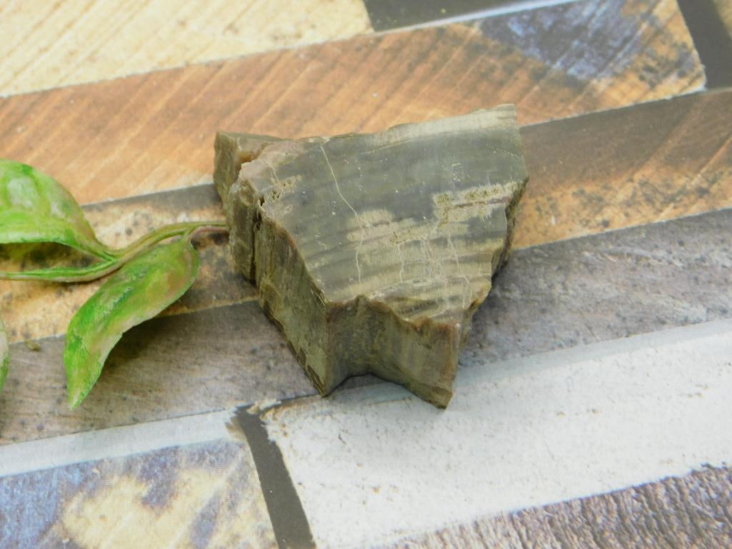 PETRIFIED WOOD ROCK STONE LAPIDARY SPECIMEN (1 of 2)