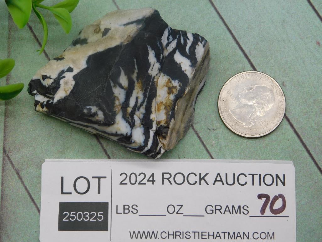 ZEBRA ROCK STONE LAPIDARY SPECIMEN - 2