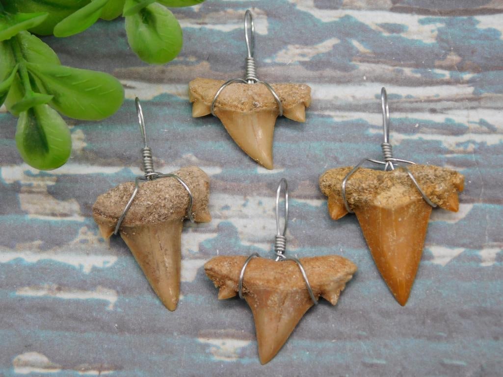 SHARK TEETH PENDANTS ROCK STONE LAPIDARY SPECIMEN (1 of 2)