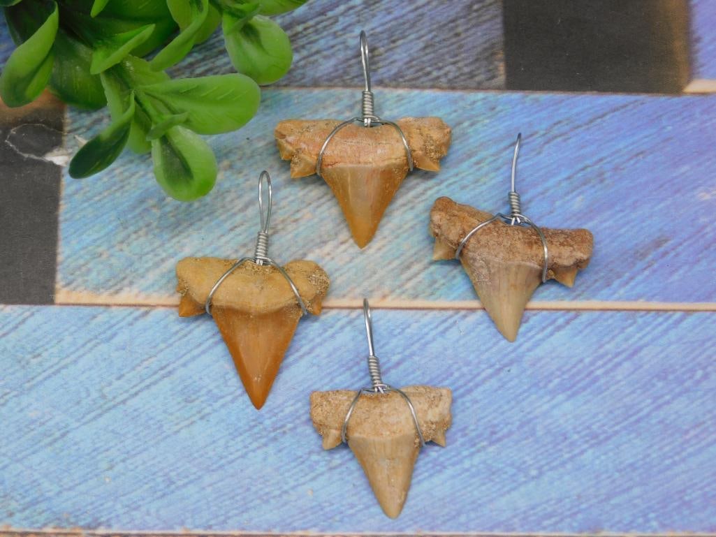 SHARK TEETH PENDANTS ROCK STONE LAPIDARY SPECIMEN: SHARK TEETH PENDANTS ROCK STONE LAPIDARY SPECIMEN