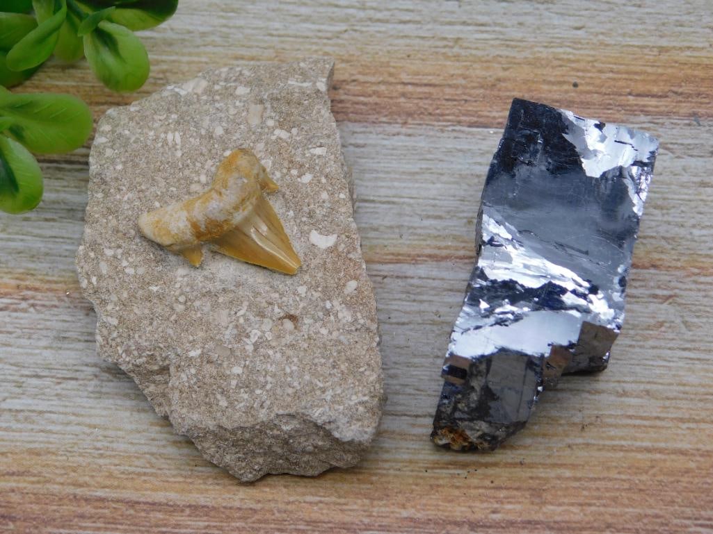 MIXED LOT ROCK STONE LAPIDARY SPECIMEN (1 of 2)