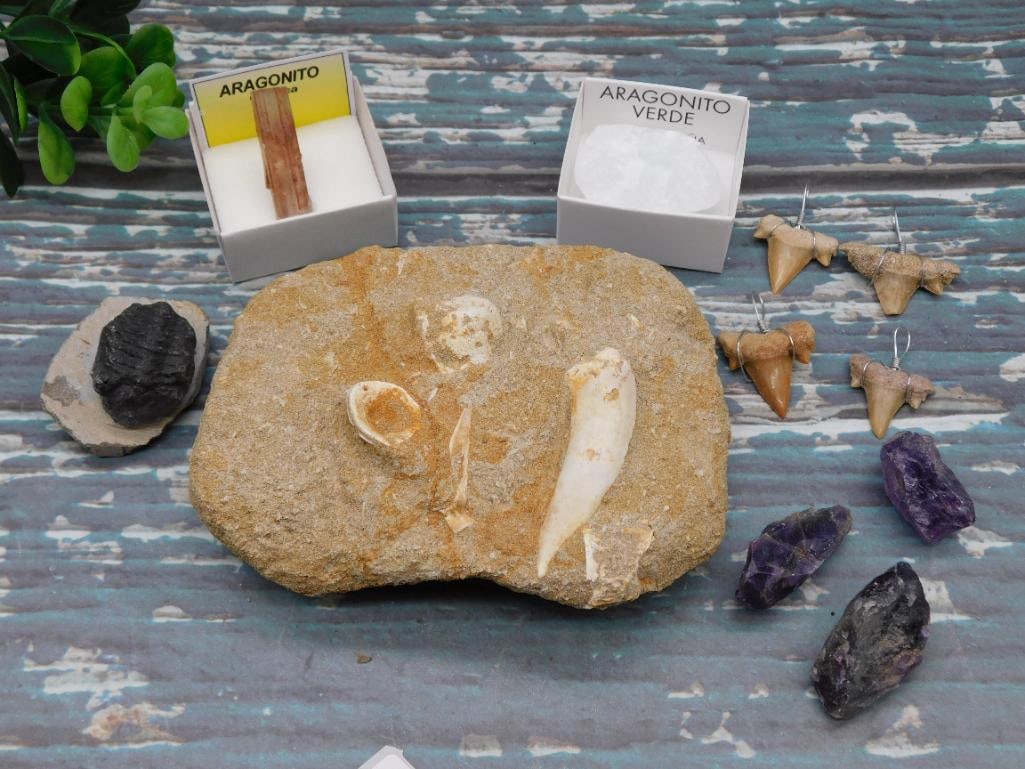 MIXED LOT ROCK STONE LAPIDARY SPECIMEN: MIXED LOT ROCK STONE LAPIDARY SPECIMEN