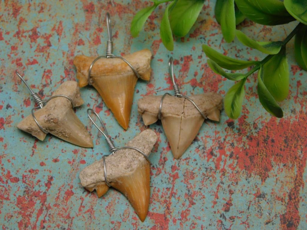 SHARK TEETH PENDANTS ROCK STONE LAPIDARY SPECIMEN (1 of 2)
