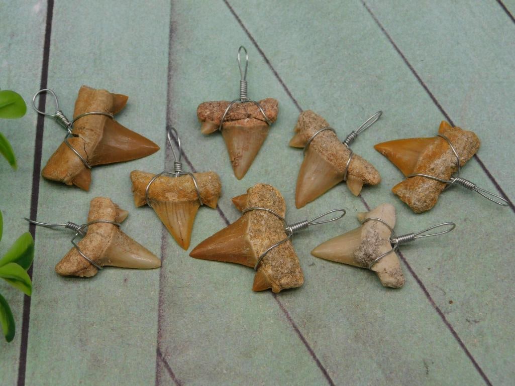 SHARK TEETH PENDANTS ROCK STONE LAPIDARY SPECIMEN (1 of 2)