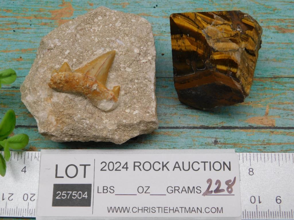 MIXED LOT ROCK STONE LAPIDARY SPECIMEN - 2