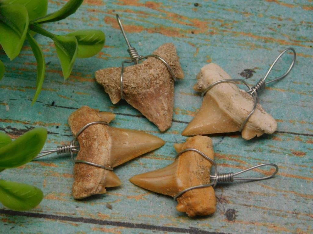 SHARK TEETH PENDANTS ROCK STONE LAPIDARY SPECIMEN (1 of 2)
