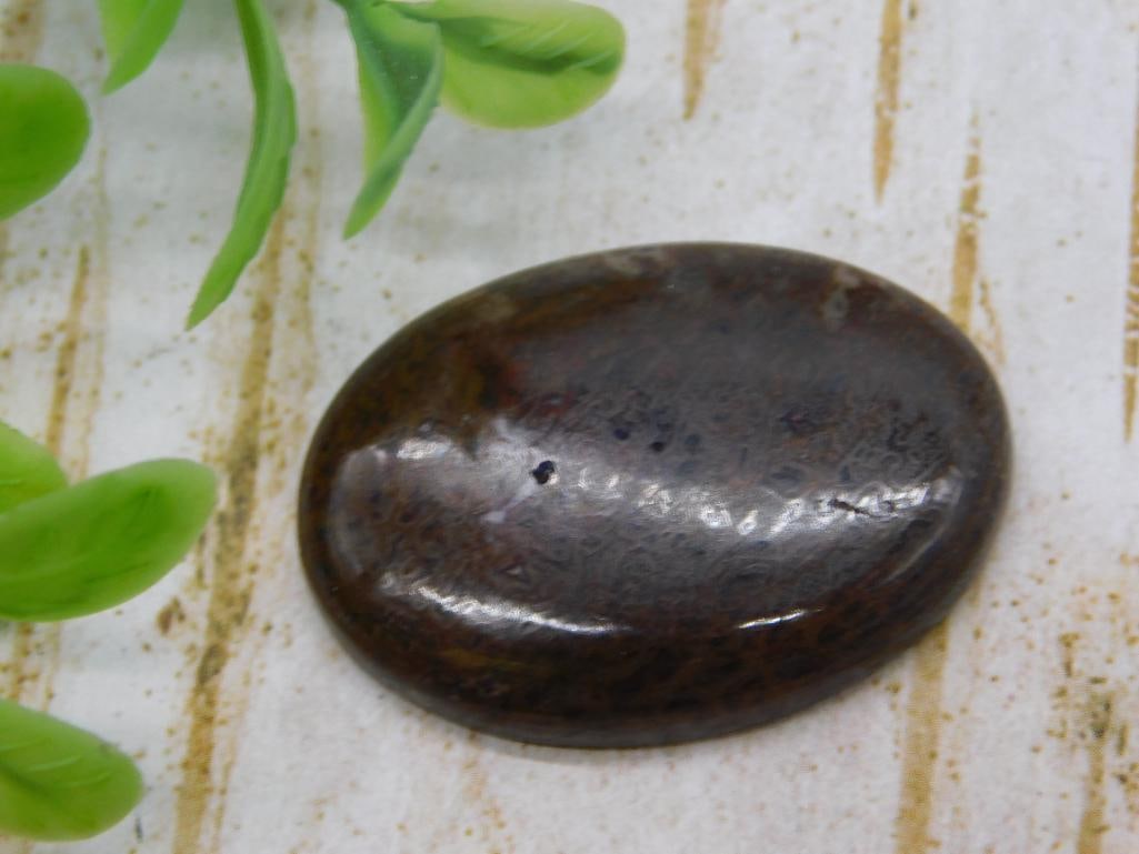 CABOCHON ROCK STONE LAPIDARY SPECIMEN: CABOCHON ROCK STONE LAPIDARY SPECIMEN