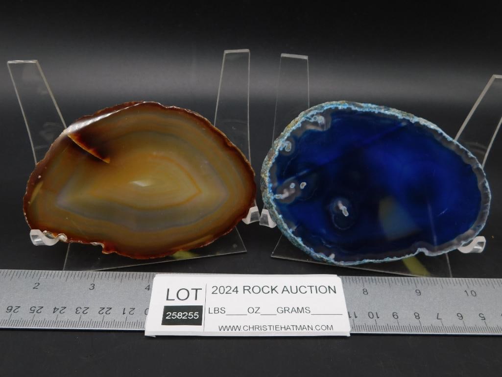 AGATE SLICES ROCK STONE LAPIDARY SPECIMEN - 2