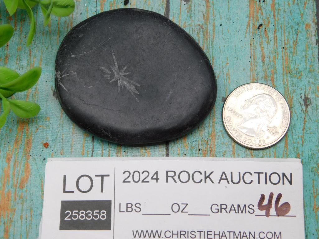 CHRYSANTHEMUM ROCK STONE LAPIDARY SPECIMEN - 2