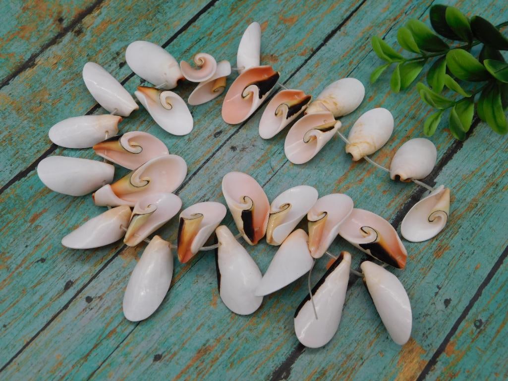 SPIRAL CUT PUKA SHELL BEADS: SPIRAL CUT PUKA SHELL BEADS