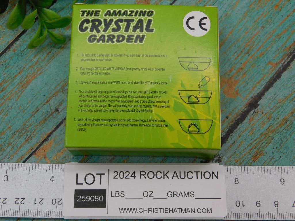 THE AMAZING CRYSTAL GARDEN KIT - 2