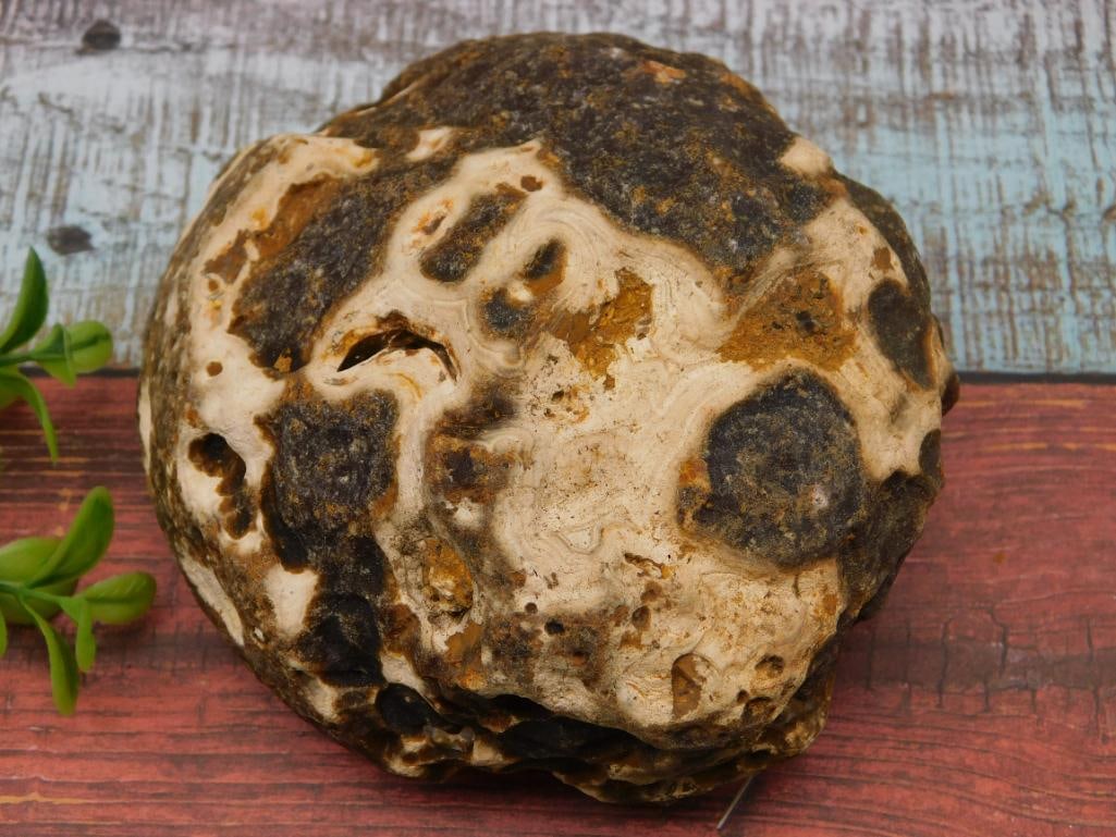 1 POUND BRAZILIAN AGATE ROCK STONE LAPIDARY SPECIMEN (1 of 2)