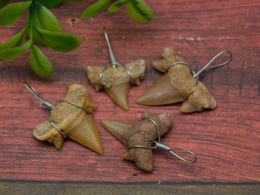 SHARK TEETH PENDANTS ROCK STONE LAPIDARY SPECIMEN (1 of 2)