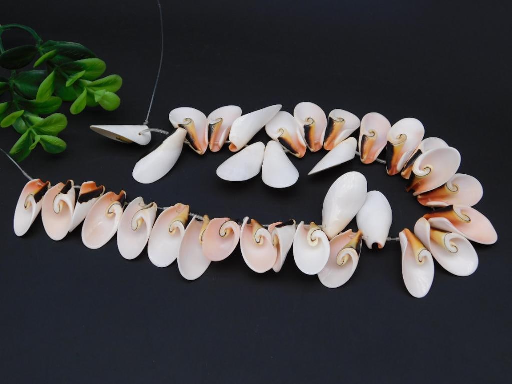SPIRAL SHELL BEADS ON STRAND ROCK STONE LAPIDARY SPECIMEN (1 of 3)