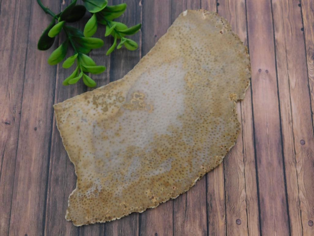 PETRIFIED PALM WOOD SLAB ROCK STONE LAPIDARY SPECIMEN (1 of 2)