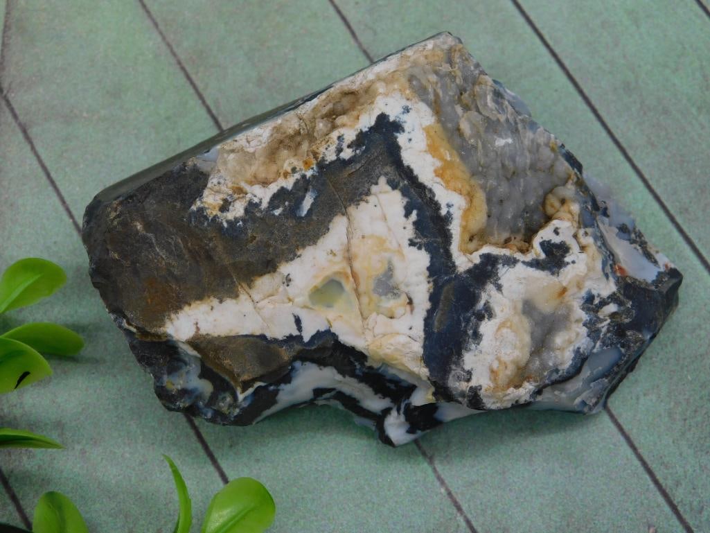 ZEBRA ROCK STONE LAPIDARY SPECIMEN: ZEBRA ROCK STONE LAPIDARY SPECIMEN