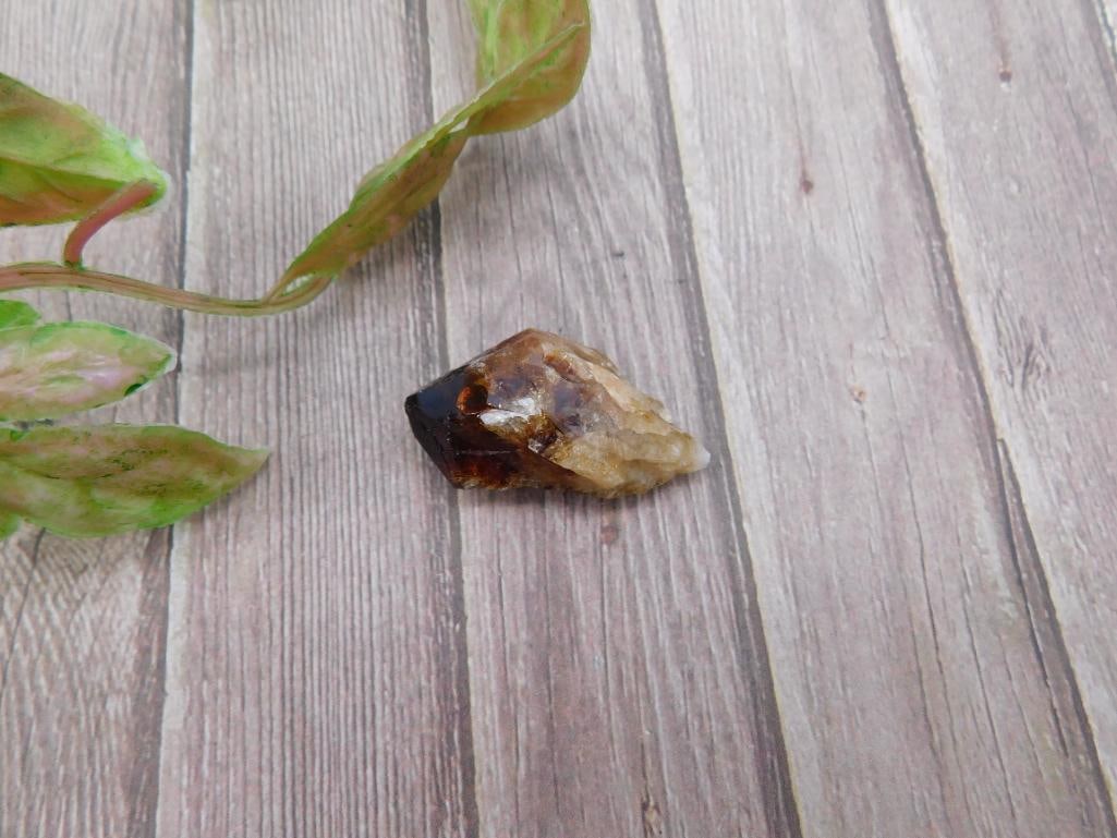 Small Mineral Specimen with Dark and Light Colors: Small Mineral Specimen with Dark and Light Colors